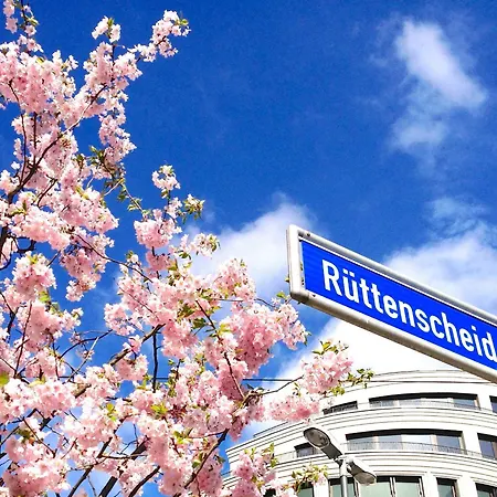 Rue Business & * Essen